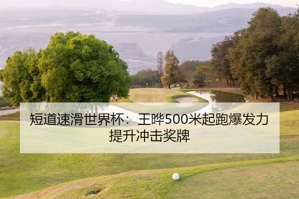 duan-dao-su-hua-shi-jie-bei-wang-ye-mi-qi-pao-bao-fa-li-ti-sheng-chong-ji-jiang-pai-2-508.jpg